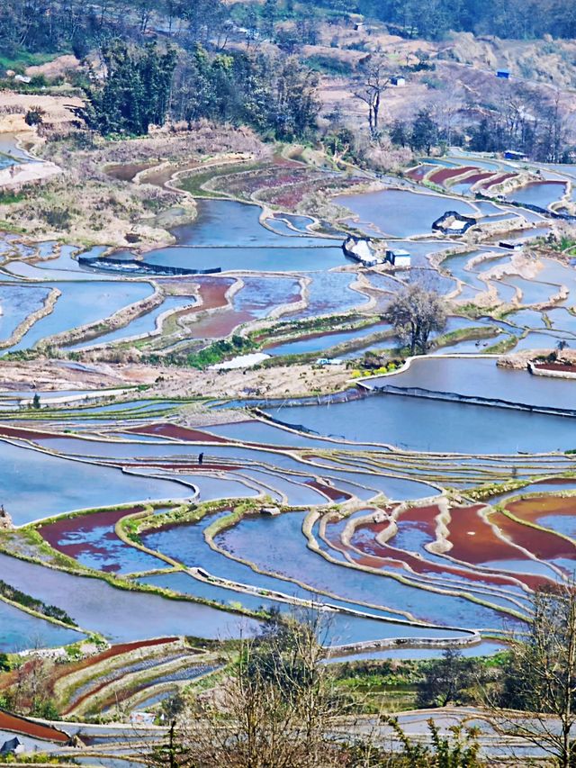 紅河3日遊 自然山水玩起來告別旅途疲憊