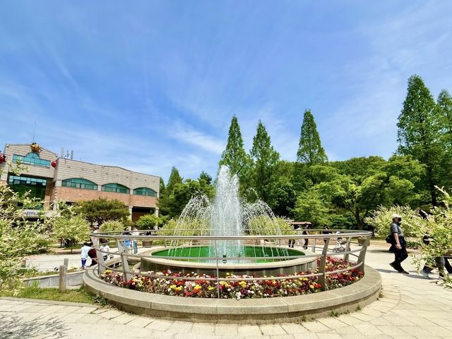 韓國富川自然生態公園：探秘自然之美，盡享親子樂趣！