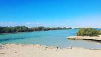「拉斯穆罕默德國家公園（Ras Mohammed National Park）——紅海潛水天堂」