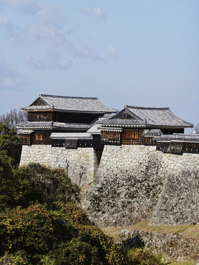四國松山｜愛媛除了道後溫泉，還有松山城