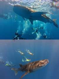 馬富士島 | 與夢幻海島邂逅，開啟浪漫海洋之旅