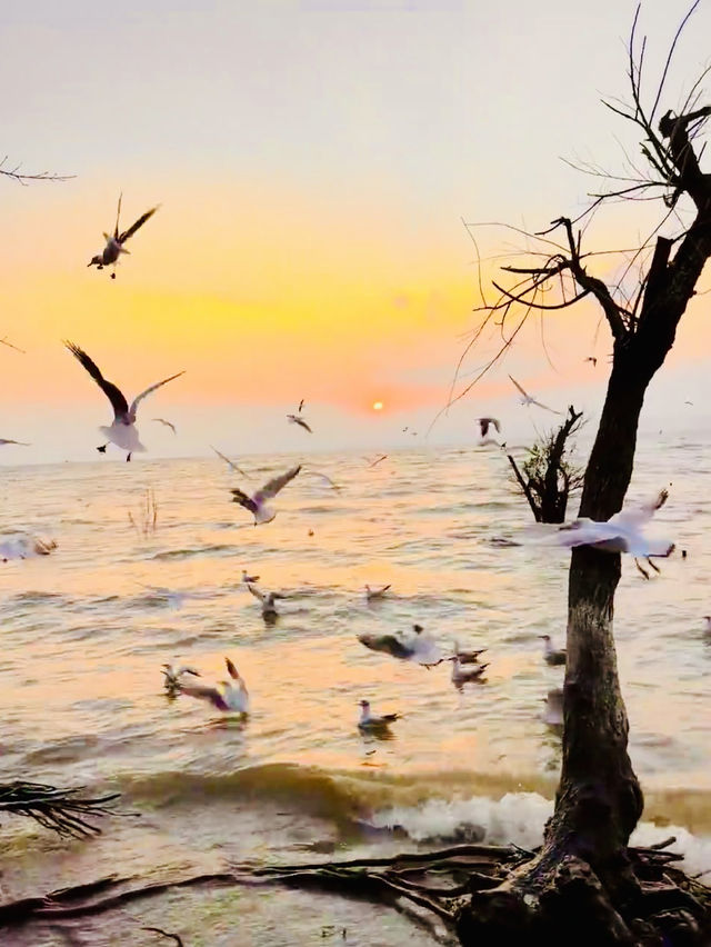 Sky above Dianchi Lake 