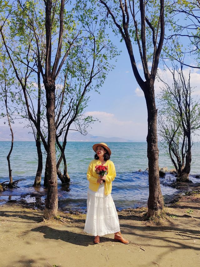 大理騎行洱海邊，欣賞人間三月的春景