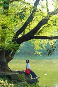美哭！沒有哪個公園能比它更懂拿捏春和景明了
