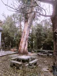 雲南大理三塔寺