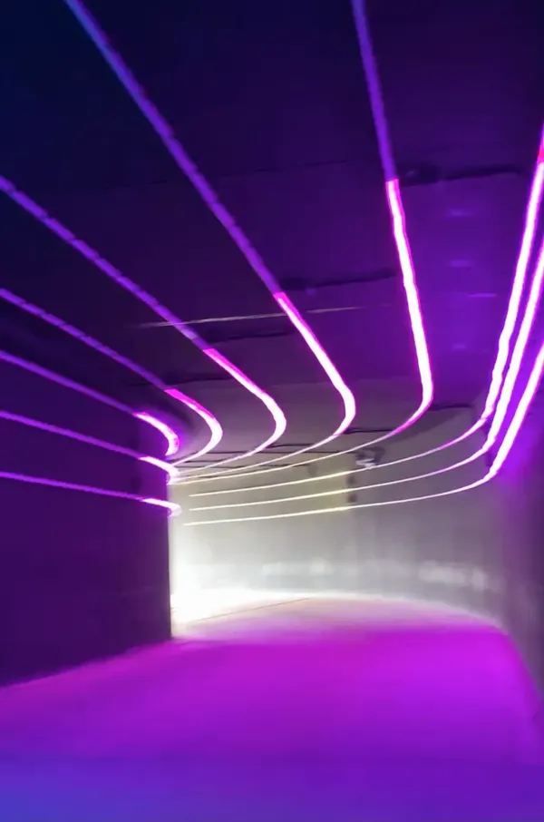 Discover the Thrill of Skyline Luge Kuala Lumpur