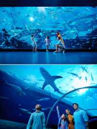 シンガポールの海底スイートが素晴らしい！