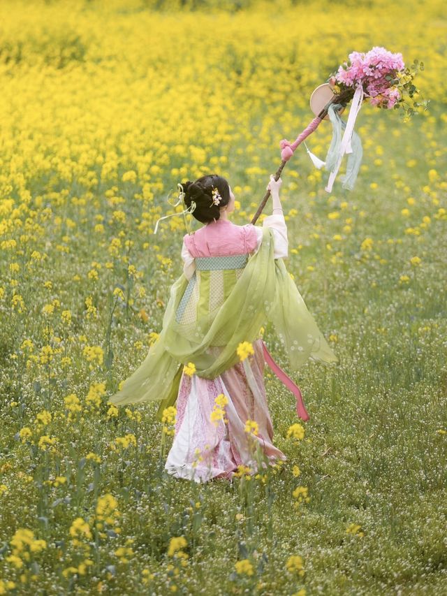 我在武夷上春山｜3月踏青、賞花、品茗全攻略