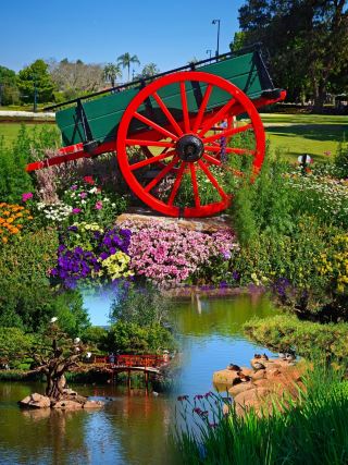 Journey to Toowoomba, Australia, and Encounter the Most Beautiful Garden City
