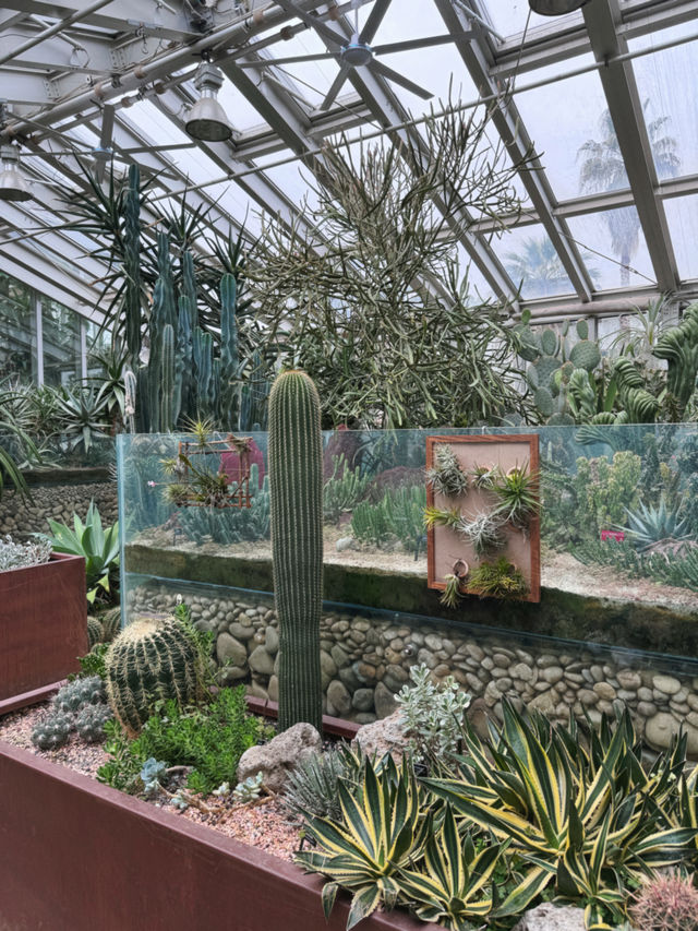 上海植物園連溫室攻略｜11個月大嬰兒感受大自然