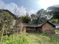 Day Trip to Chengdu