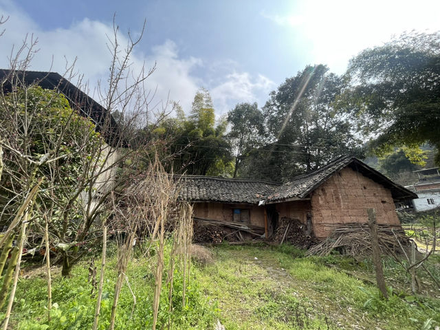 Day Trip to Chengdu