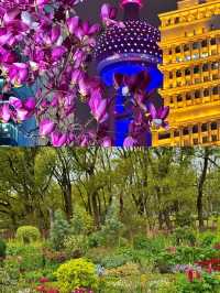2025上海共青森林公園保姆級攻略