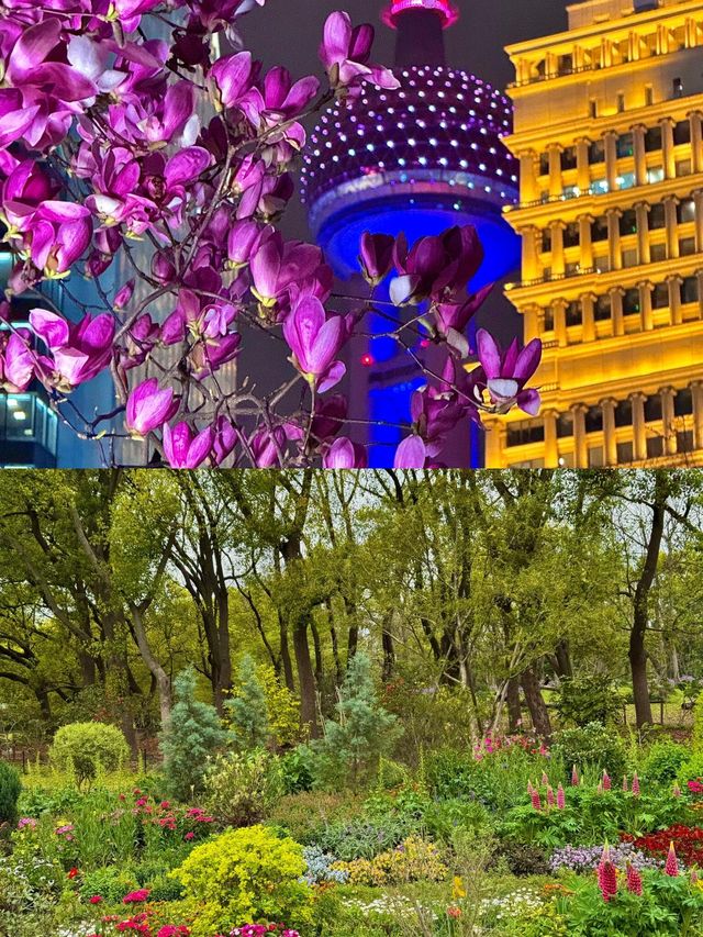 2025上海共青森林公園保姆級攻略