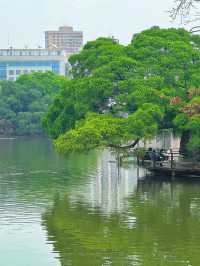 東山湖公園嘅中式美學