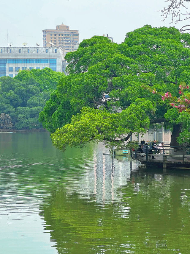 東山湖公園嘅中式美學