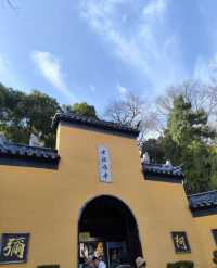南京四月旅行攻略：邂逅梧桐飛絮裏的金陵春天