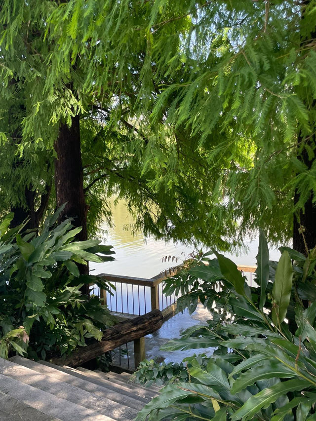 華南植物園，超級愜意的廣州綠洲✨