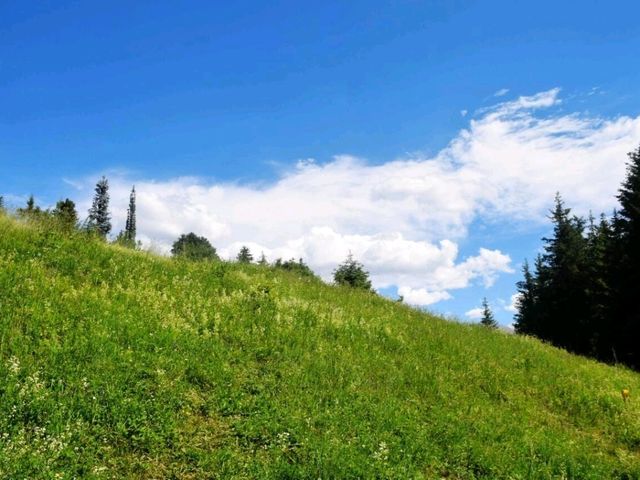 🌟【新疆探秘】天山天池，究竟值不值得？一日游避坑秘籍大公開！ 