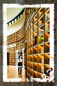 天府藝術公園：湖光與書頁共舞的隱世秘境