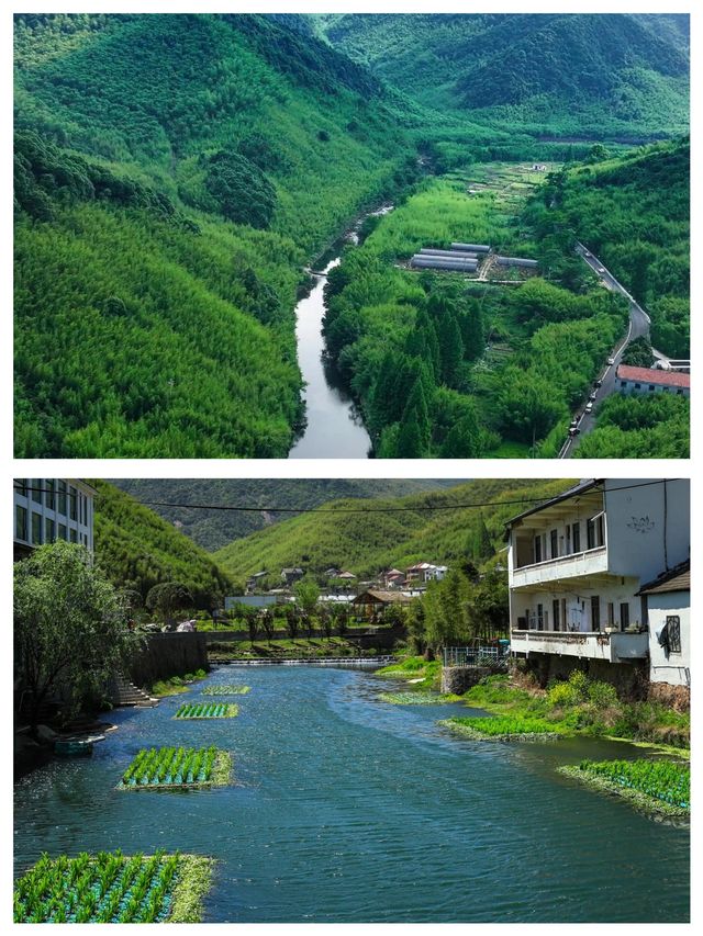 莫干山自然風光美麗如畫修心養性來這裡