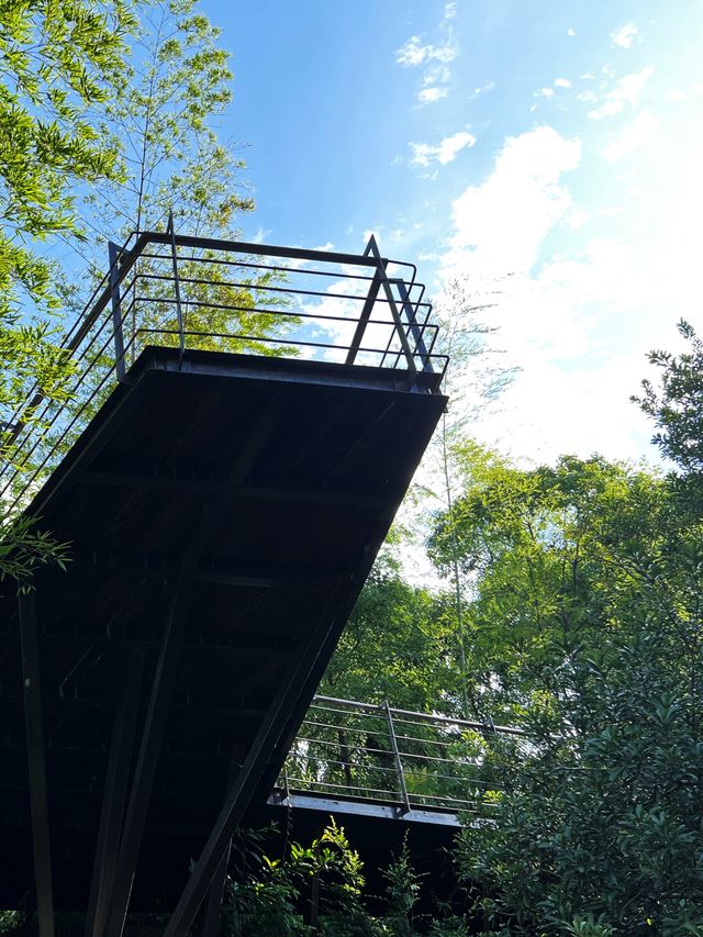 隱匿山間的詩意棲居|縉雲·景台隱墅