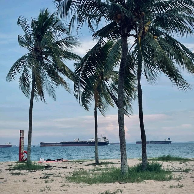 新加坡旅行避雷指南！這些秘境連本地人都在私藏🌴 