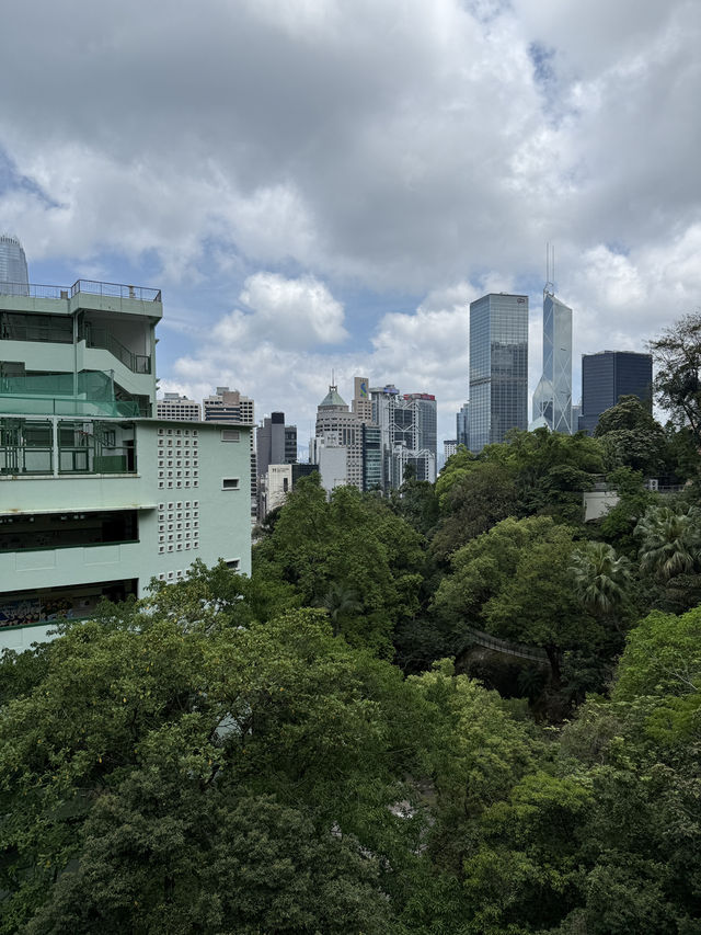 Central To Admiralty - Experience The Concrete Jungle Of Hong Kong 