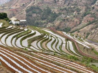 Exploring the Rice Terraces of Miyi: A Symphony of Nature and Culture in a Hidden Cloud Realm