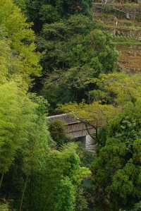 德化濟美橋（二）