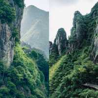 央視都嚟拍嘅景寧雲海梯田！清晨5點嘅畫面直接封神！”