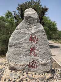 蘭州仁壽山