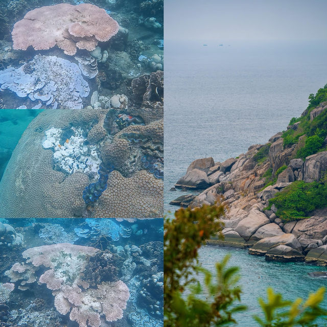 蘇梅島，6天直接躺平旅遊寶藏地！