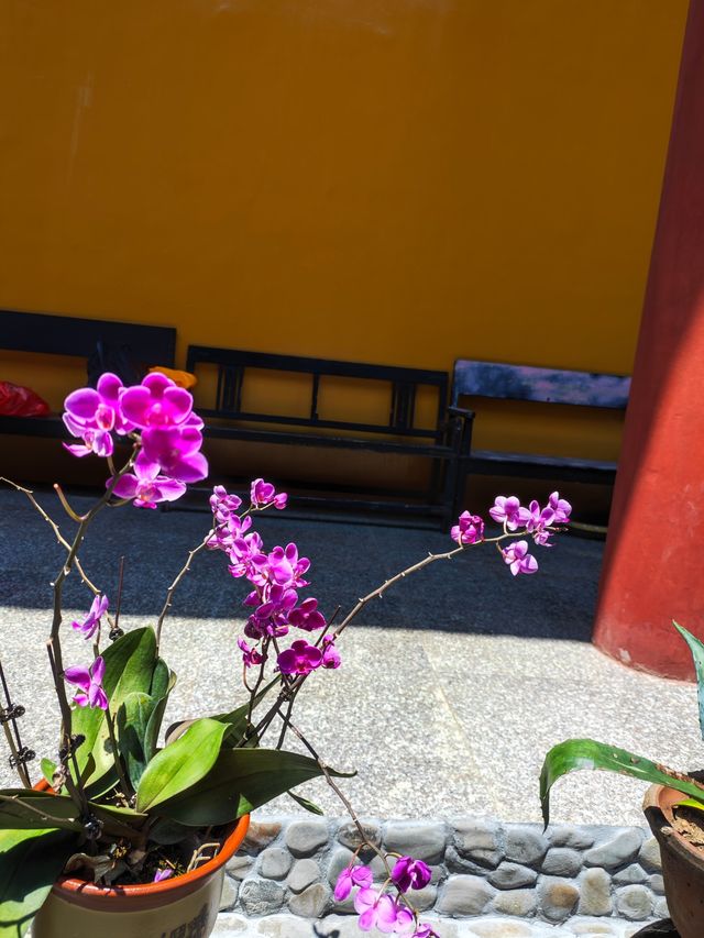 白雲深處靖安人家