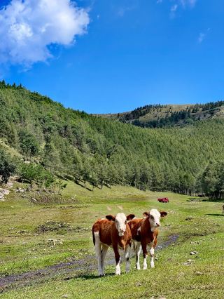 Ultra-Detailed Travel Guide to Chifeng Meilin Valley