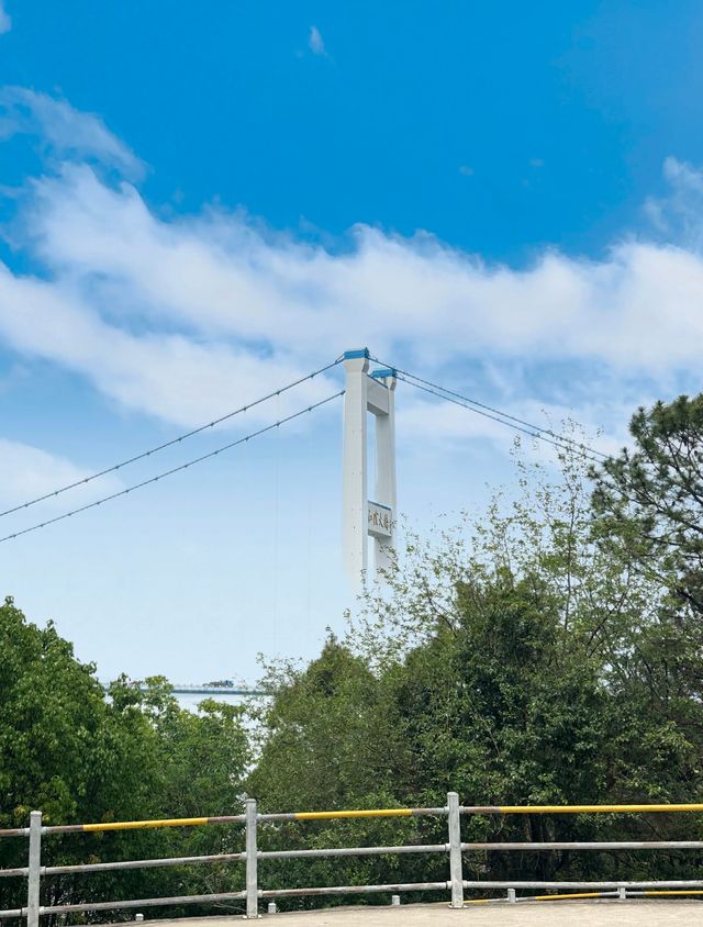 打卡江陰鵝鼻嘴公園