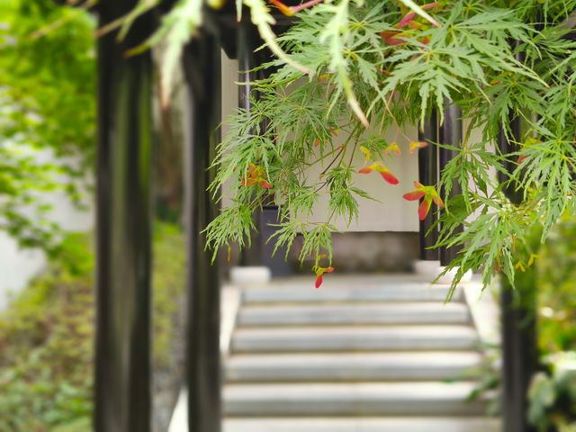 喺安吉悅榕莊治癒式躺平，做一場48小時嘅隱世夢