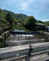 京都＆奈良精華一日遊，大阪跟團省心攻略