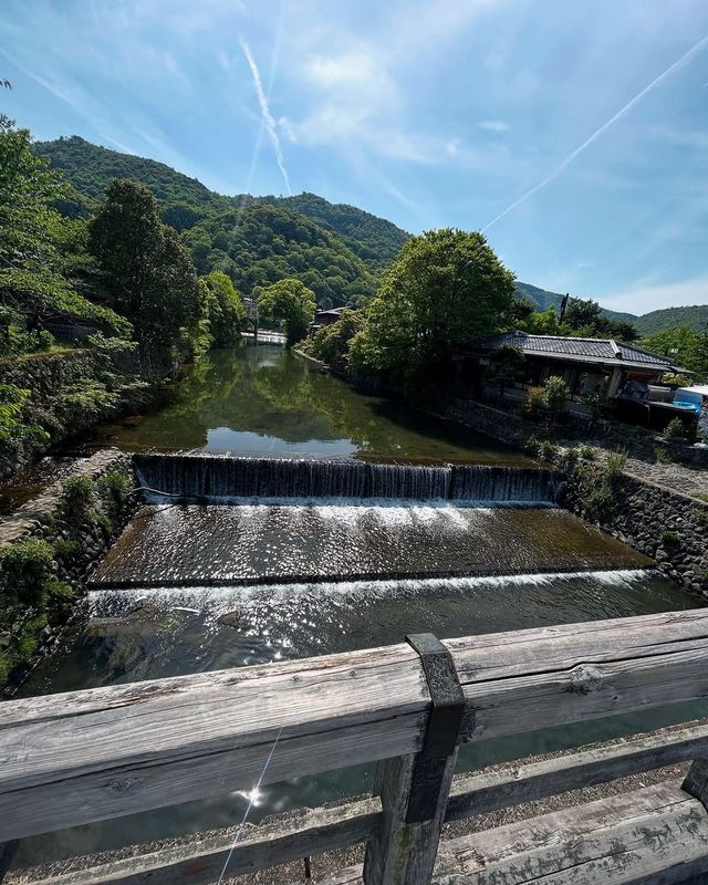 京都＆奈良精華一日遊，大阪跟團省心攻略