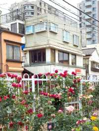 東京都電荒川線交通攻略｜搭復古電車漫遊懷舊東京