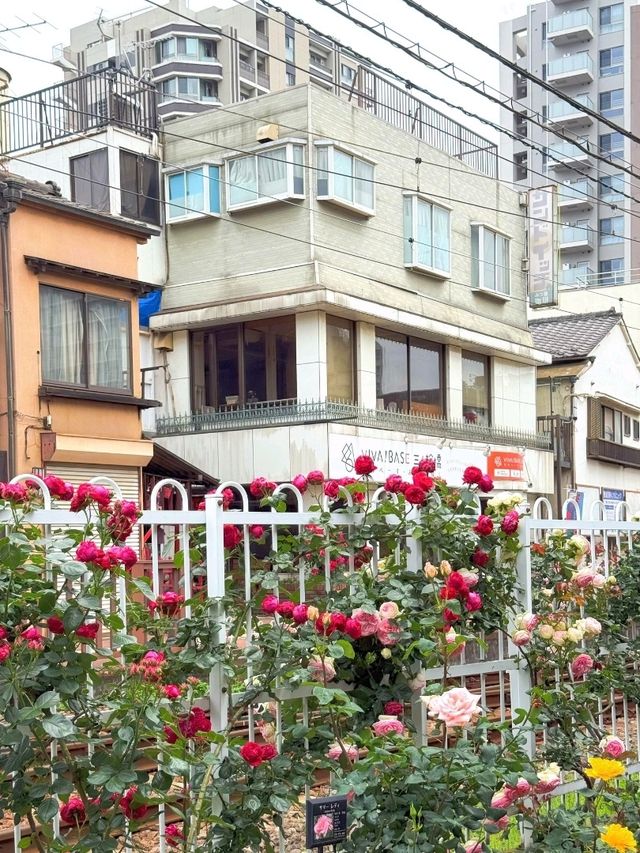 東京都電荒川線交通攻略｜搭復古電車漫遊懷舊東京