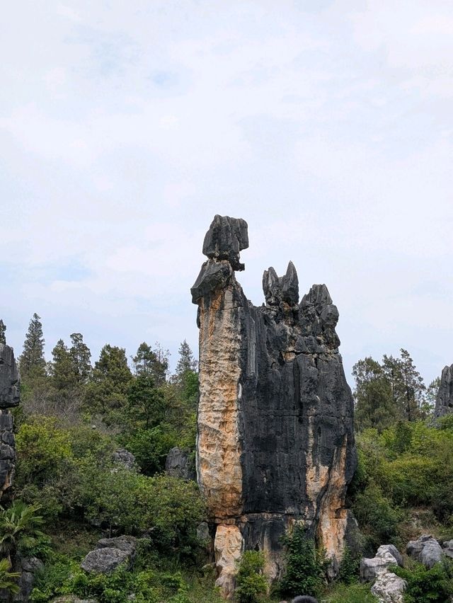 A Visit to The Stone Forests (and Stone Teeth) of Guilin 🏔️🌳