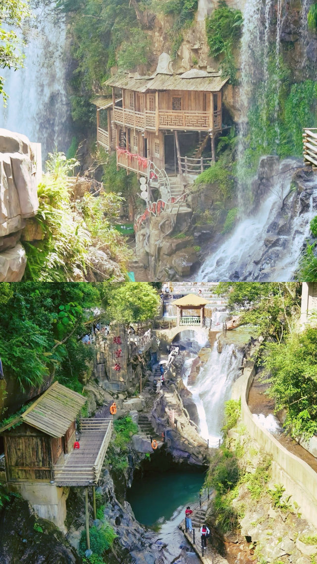 高山原始森林嘅呼吸，溪流喺腳下低吟