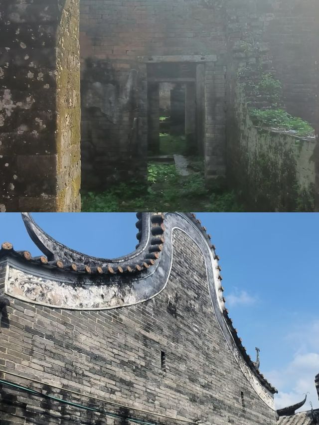 佛岡受罪已回，實話拒噴