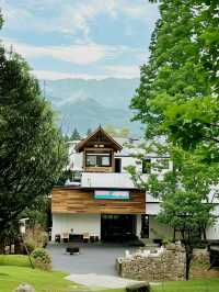 青城後山！隱藏喺密林中嘅小屋！好治癒！