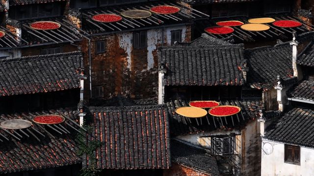 江西婺源不踩雷旅遊攻略 