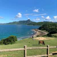🌊呢度根本係從漫畫走出黎嘅景！