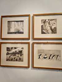 望京藝術漫遊 | 央美「環·象」展覽全攻略