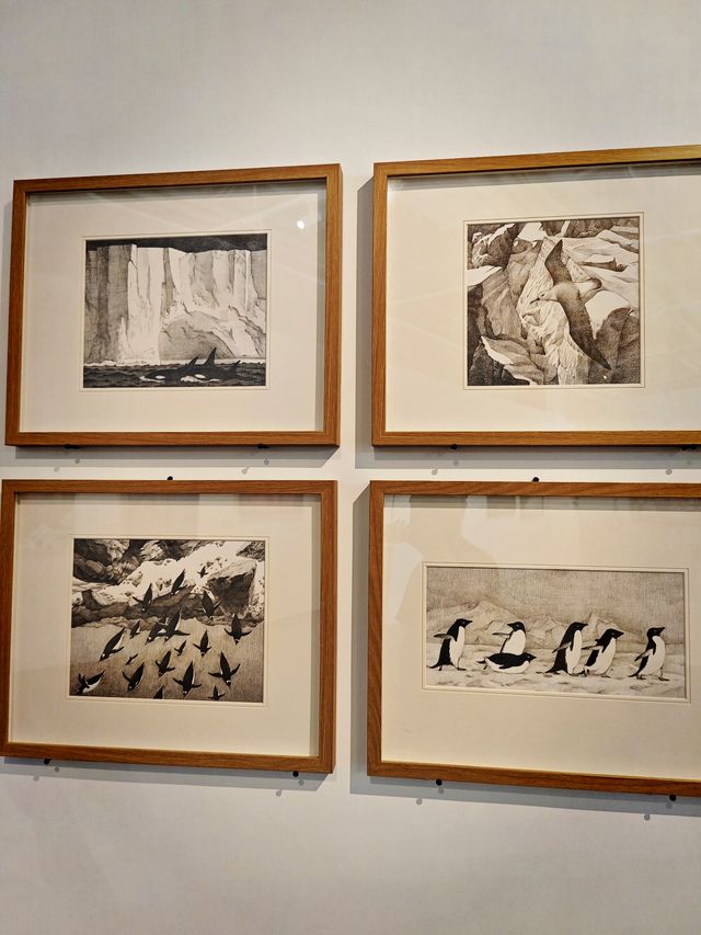 望京藝術漫遊 | 央美「環·象」展覽全攻略