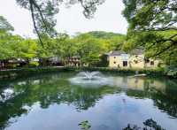 《2025普陀山終極旅遊攻略：朝聖禮佛與海島風光的完美結合》